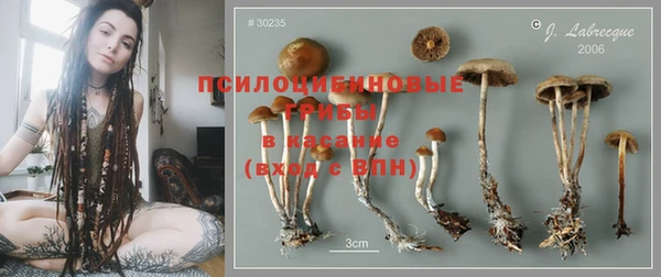 амф Наволоки