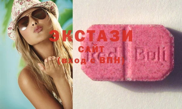 ECSTASY Бородино