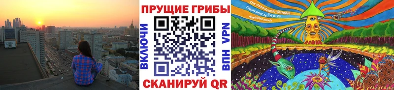 Галлюциногенные грибы Psilocybe  Донской 