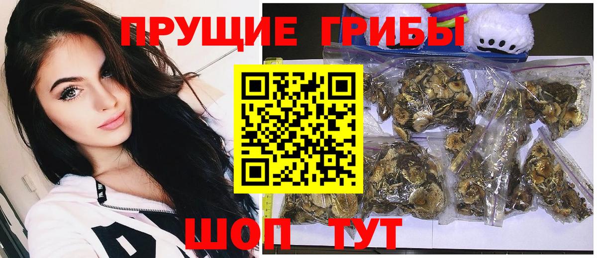 Псилоцибиновые грибы GOLDEN TEACHER Донской
