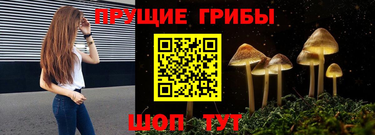 Донской  Псилоцибиновые грибы прущие грибы  Вход с VPN 