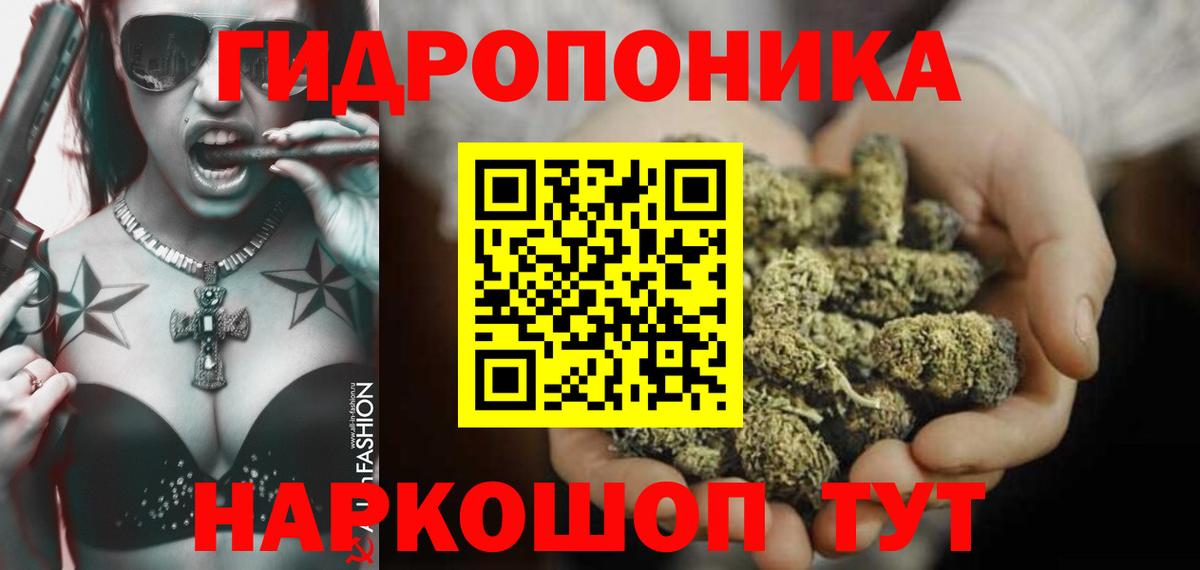 Донской  МАРИХУАНА гибрид  Вход с VPN  Бошки марихуана конопля 